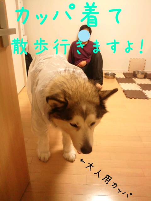 d0241911_2013156.jpg