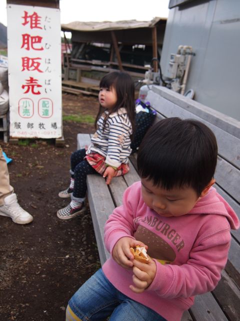 a0151615_1332179.jpg