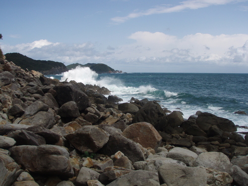 b0121015_20274347.jpg