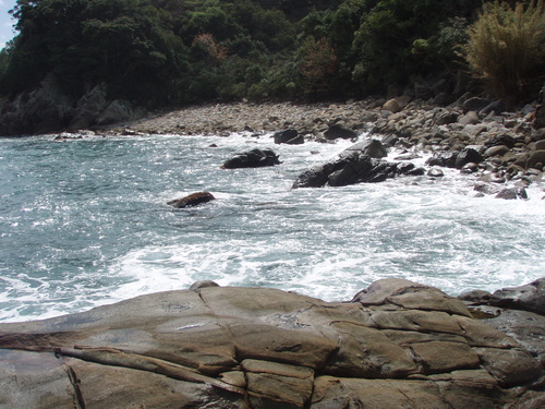 b0121015_20341817.jpg