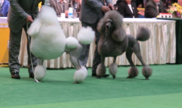 c0200916_029540.jpg