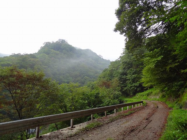 枡形山林道4-①_a0243317_20124481.jpg