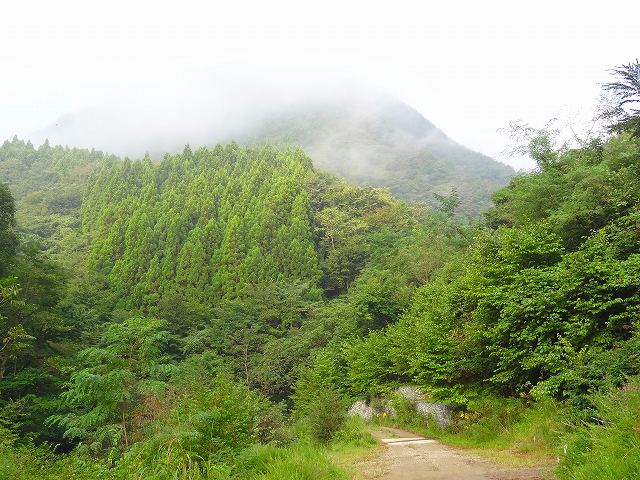 a0243317_20134816.jpg