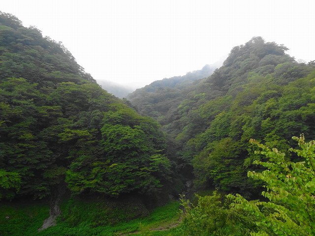 a0243317_202463.jpg