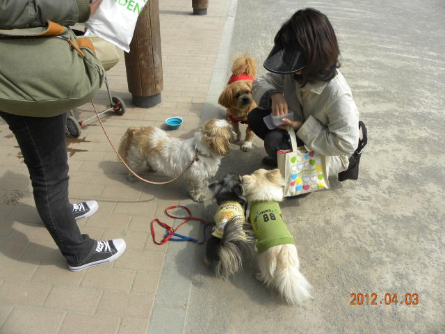 b0203018_17404367.jpg