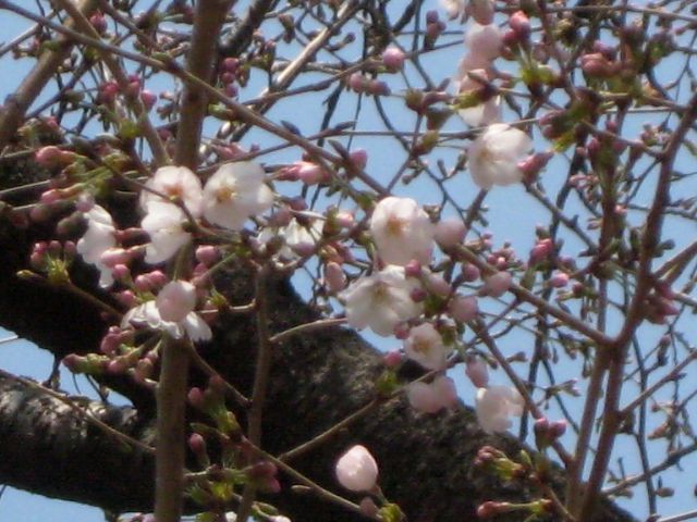 b0093221_0183834.jpg