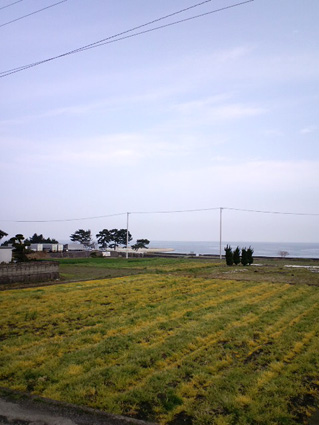 d0214221_1142715.jpg