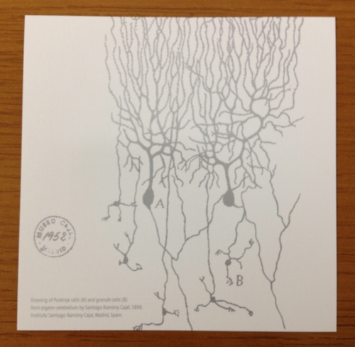 東北大学脳科学グローバルCOE終了御礼_d0028322_22323774.jpg