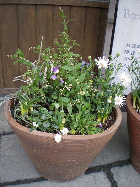e0128024_9361011.jpg