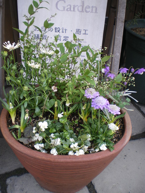 e0128024_936409.jpg