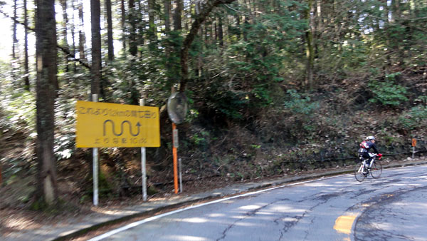 e0089826_8261418.jpg