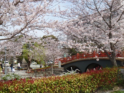 e0216827_1155079.jpg