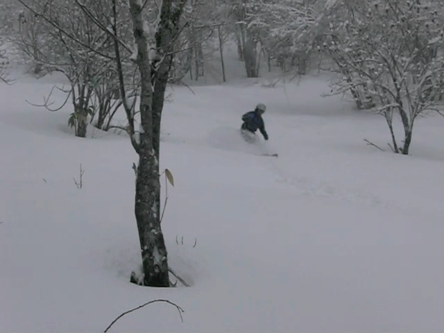 新雪だぁー♪_a0203733_12253819.jpg