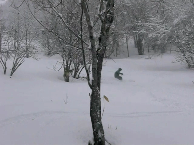 新雪だぁー♪_a0203733_1226269.jpg