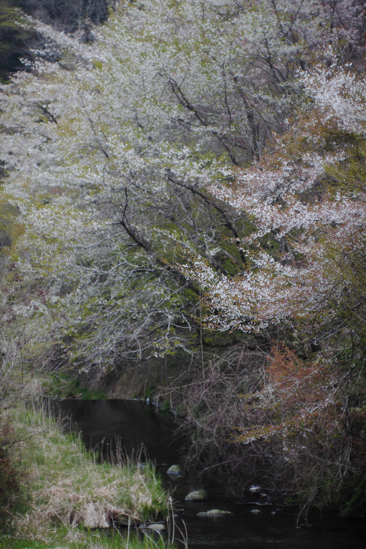 e0006135_0384159.jpg