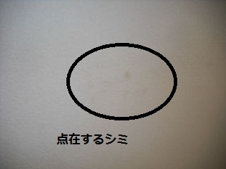 f0031037_21151257.jpg