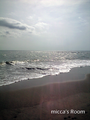 b0245038_18101043.jpg
