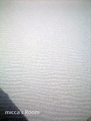 b0245038_1810531.jpg