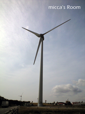 b0245038_1895448.jpg
