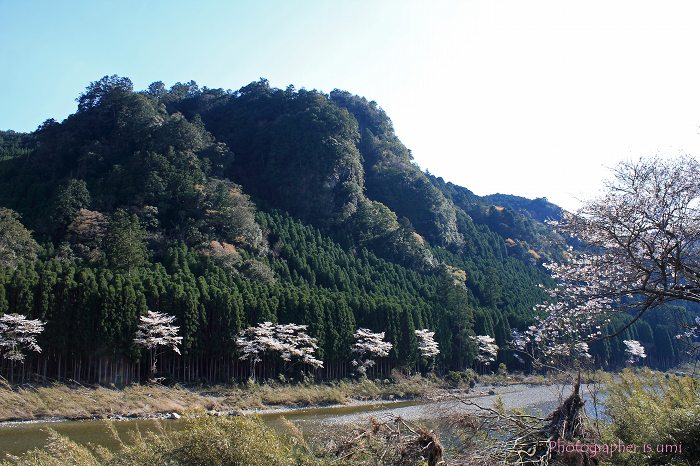 e0083238_21282347.jpg