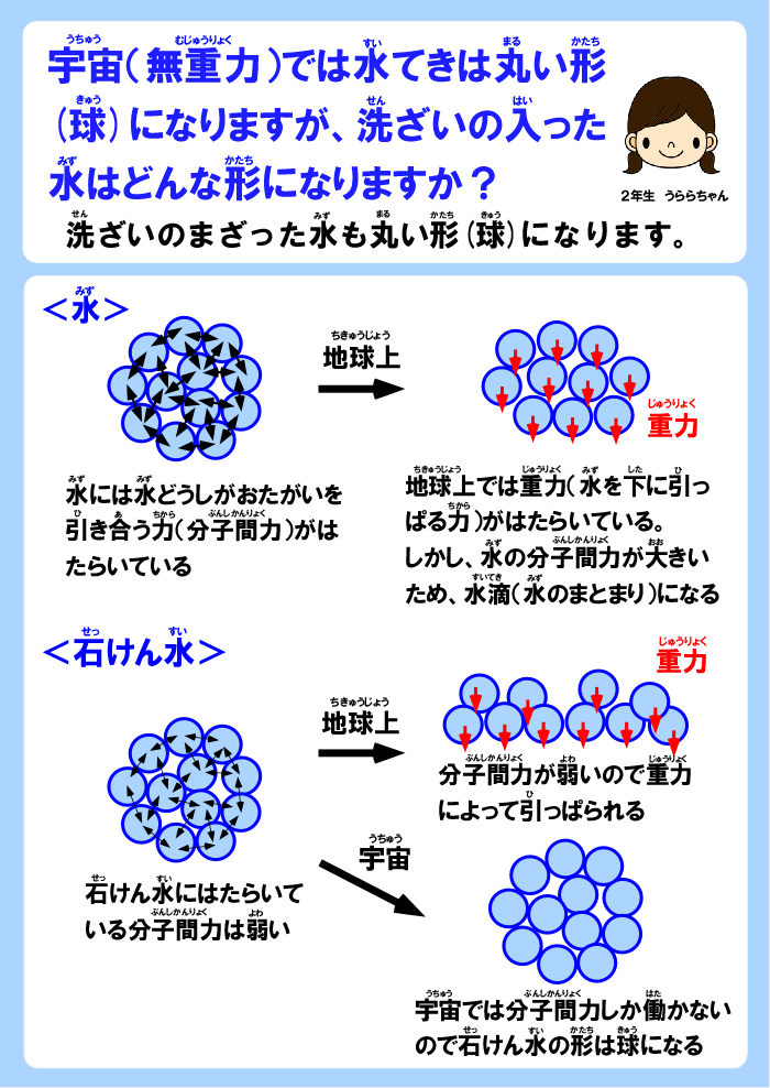 宇宙 無重力 では水てきは丸い形 球 になりますが 洗ざいの入った水はどんな形になりますか メンデル工房 サイエンス教室 吉祥寺校