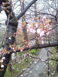 c0154849_1303024.jpg
