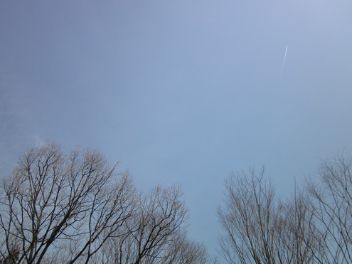 a0162251_15211976.jpg