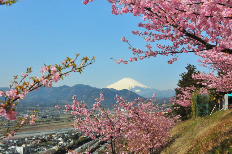 足柄上郡松田町ダイヤモンド富士_a0150260_19463730.jpg