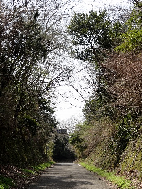 大坂峠_a0148866_11413644.jpg