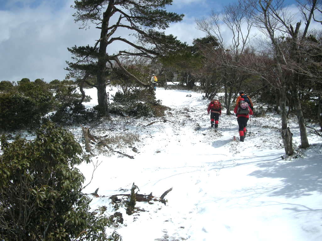 No205  大段山とおまけの段ケ峰_b0185573_1433921.jpg