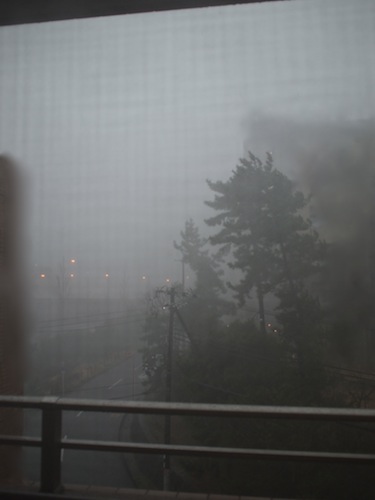 a0232774_22174692.jpg