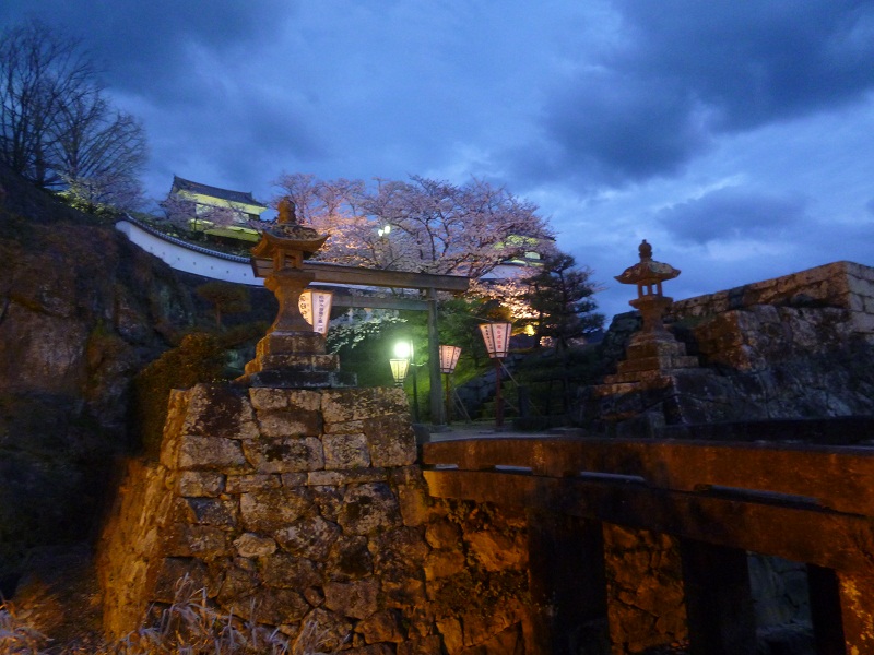 夜に舞う桜_d0230676_8305172.jpg