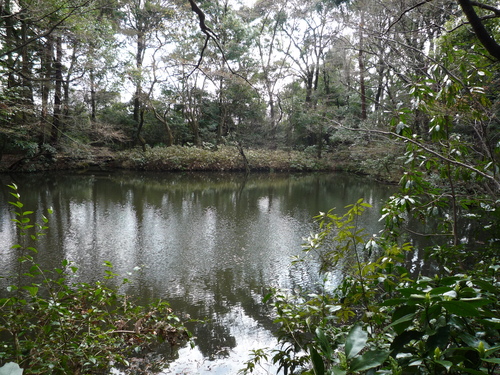 e0232277_11232962.jpg