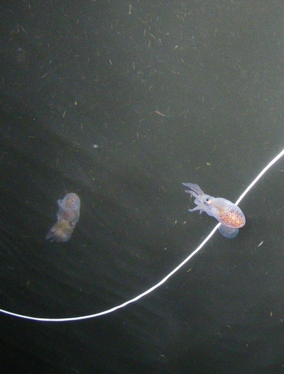 c0197578_22334051.jpg
