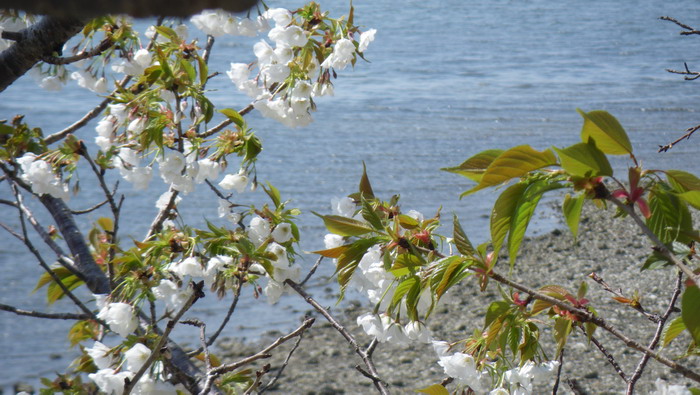 c0197578_22424739.jpg