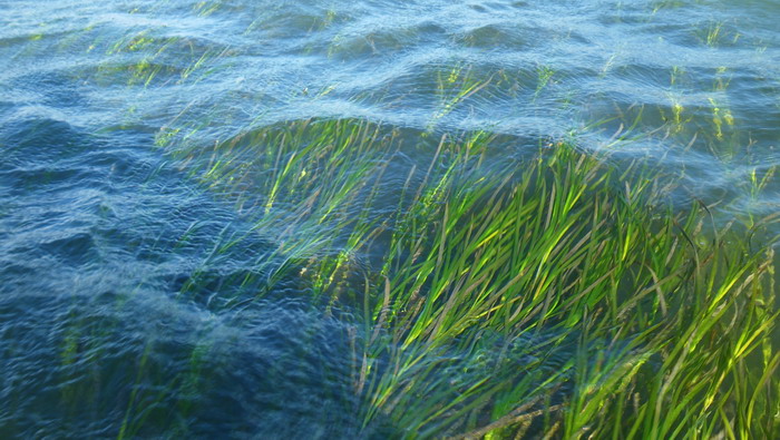 c0197578_22553118.jpg