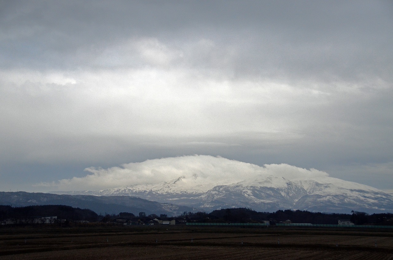 大荒れの天気に・・・でもこんな出会いも有りました。_f0121379_19275977.jpg