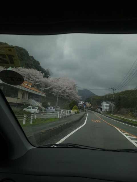 嵐ですね_c0246783_19124470.jpg