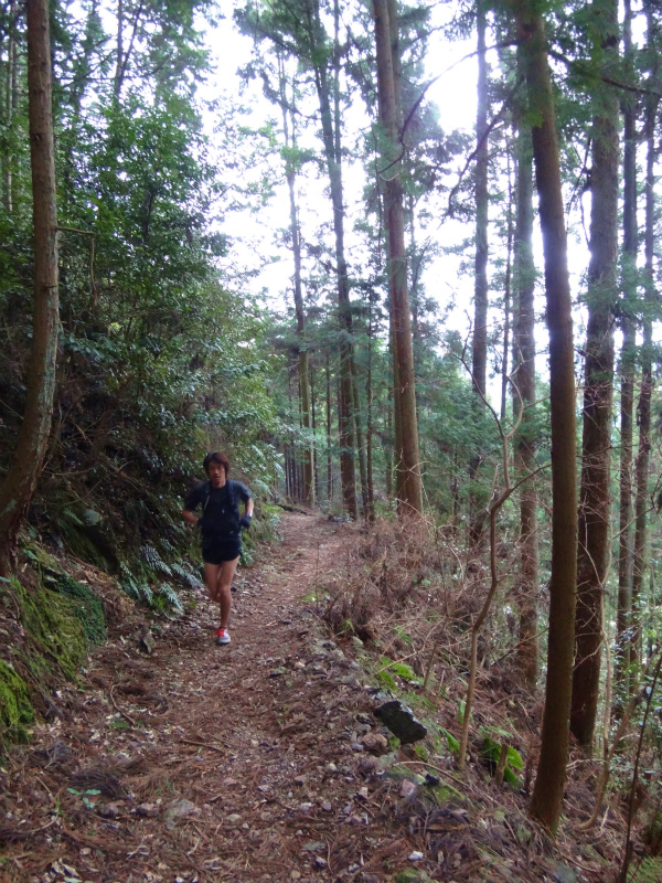 2012/03/28 Mr.Beyondと行く高野山町石道＆高野三山　_b0220886_15221059.jpg