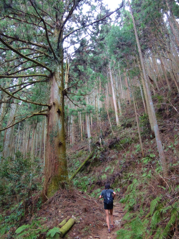 2012/03/28 Mr.Beyondと行く高野山町石道＆高野三山　_b0220886_15223993.jpg