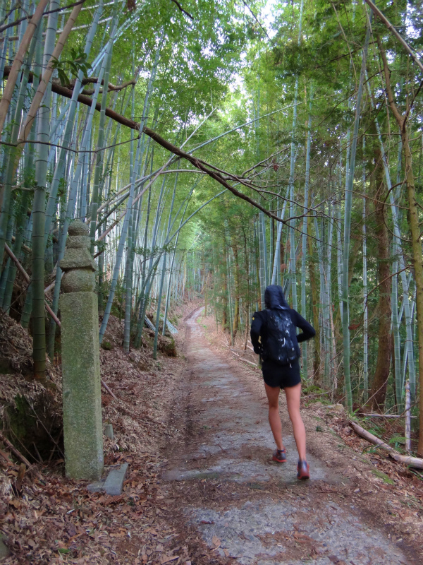 2012/03/28 Mr.Beyondと行く高野山町石道＆高野三山　_b0220886_1531461.jpg