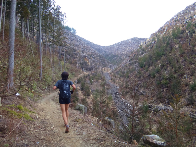 2012/03/28 Mr.Beyondと行く高野山町石道&高野三山 _b0220886_15342661.jpg