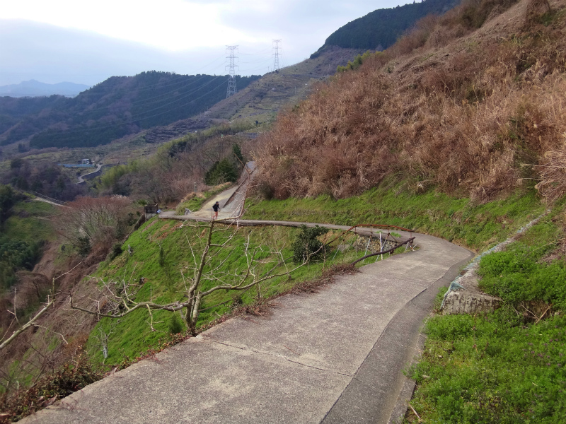 2012/03/28 Mr.Beyondと行く高野山町石道＆高野三山　_b0220886_1535970.jpg