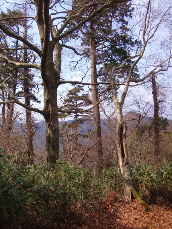 2012/03/28 Mr.Beyondと行く高野山町石道&高野三山 _b0220886_15425158.jpg