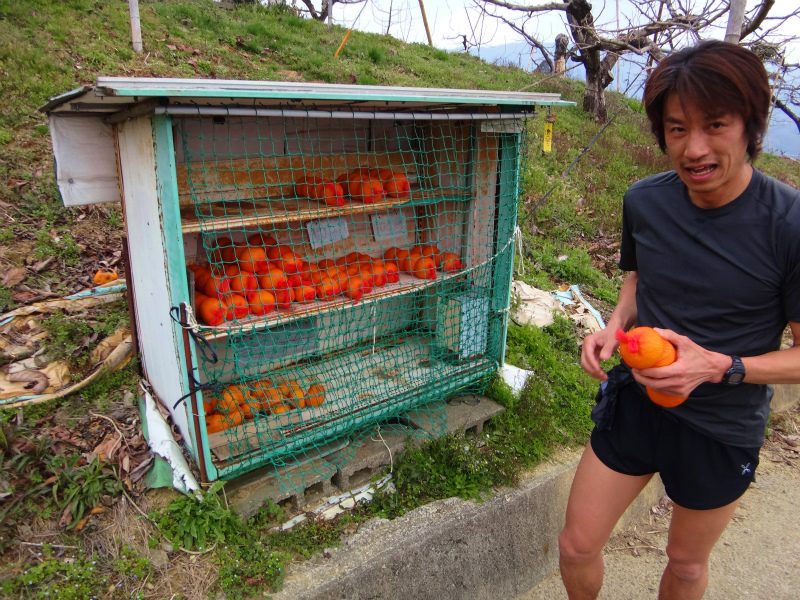 2012/03/28 Mr.Beyondと行く高野山町石道＆高野三山　_b0220886_1563288.jpg