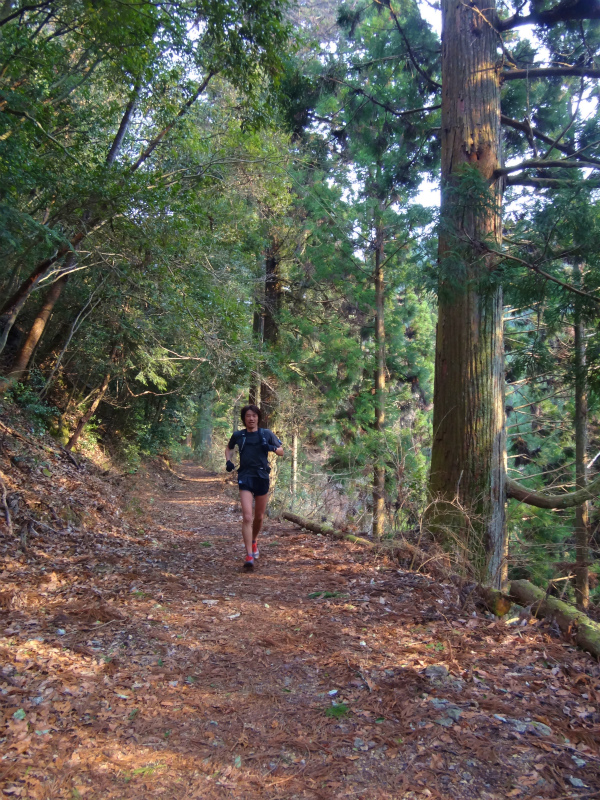 2012/03/28 Mr.Beyondと行く高野山町石道&高野三山 _b0220886_1605934.jpg