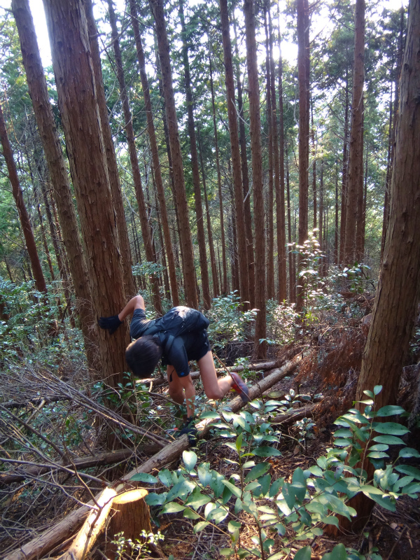 2012/03/28 Mr.Beyondと行く高野山町石道&高野三山 _b0220886_1612850.jpg