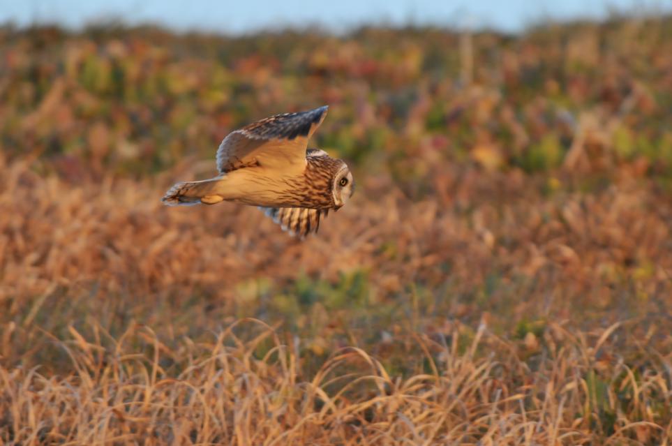 f0202686_20253069.jpg