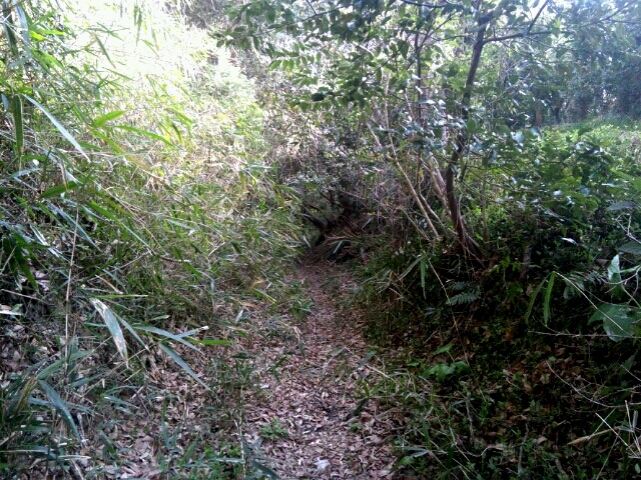 c0119891_182455.jpg