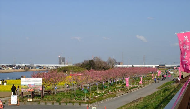 d0153294_1545967.jpg